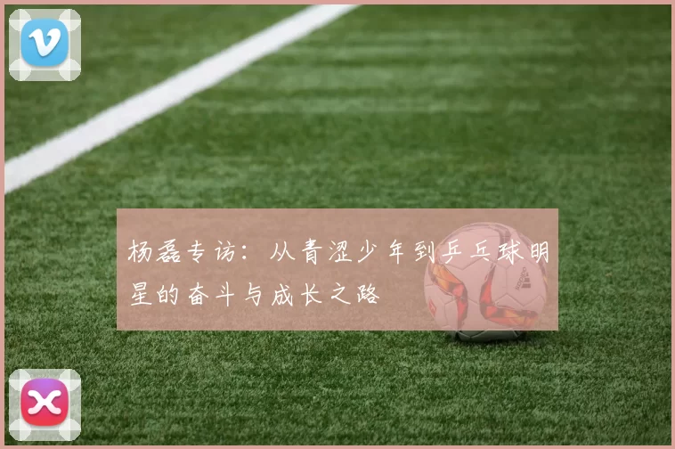 杨磊专访：从青涩少年到乒乓球明星的奋斗与成长之路