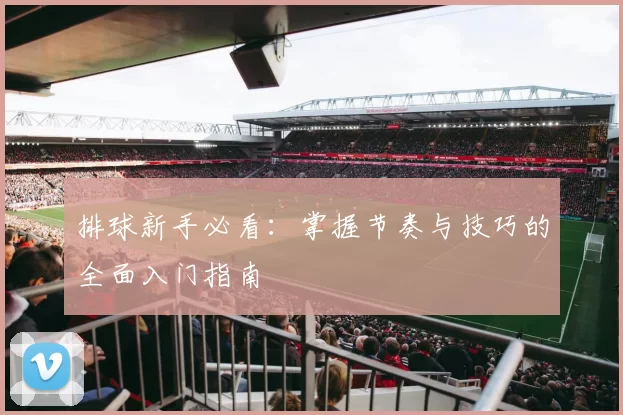 排球新手必看：掌握节奏与技巧的全面入门指南