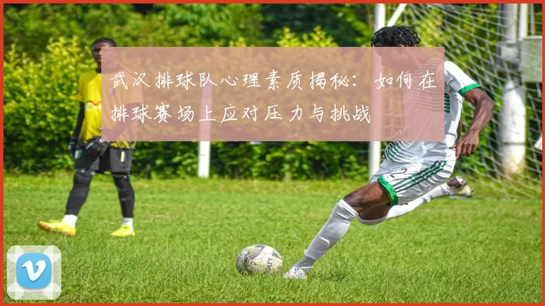 武汉排球队心理素质揭秘：如何在排球赛场上应对压力与挑战