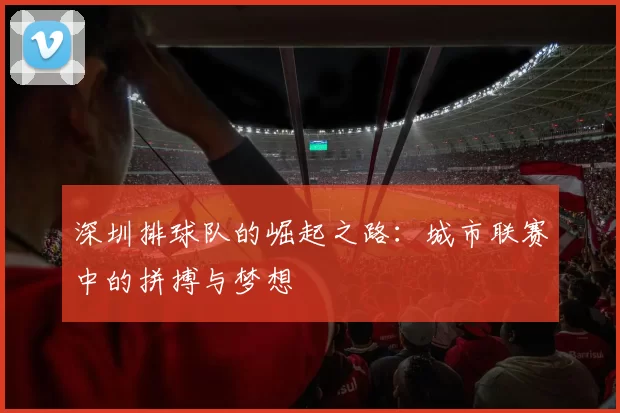 深圳排球队的崛起之路：城市联赛中的拼搏与梦想