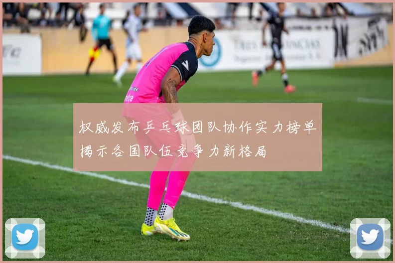 权威发布乒乓球团队协作实力榜单揭示各国队伍竞争力新格局