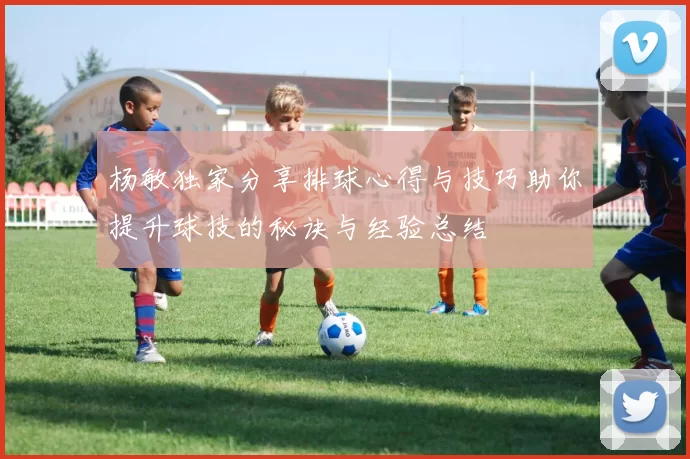 杨敏独家分享排球心得与技巧助你提升球技的秘诀与经验总结