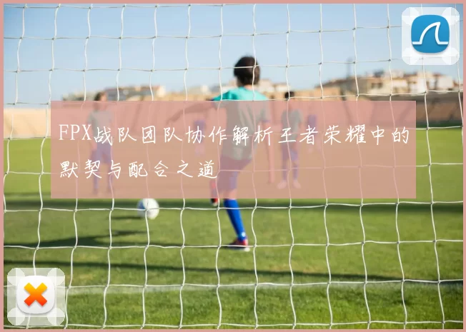 FPX战队团队协作解析王者荣耀中的默契与配合之道