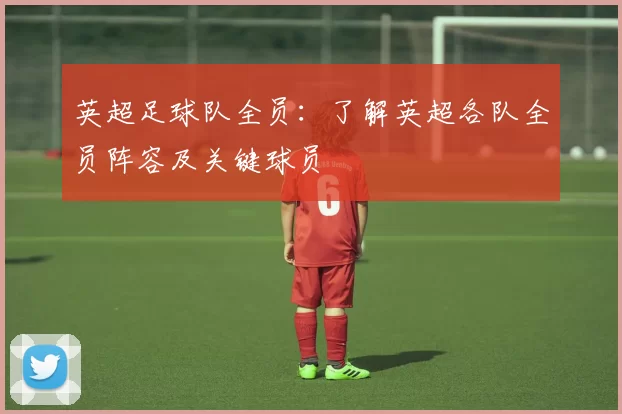 英超足球队全员：了解英超各队全员阵容及关键球员