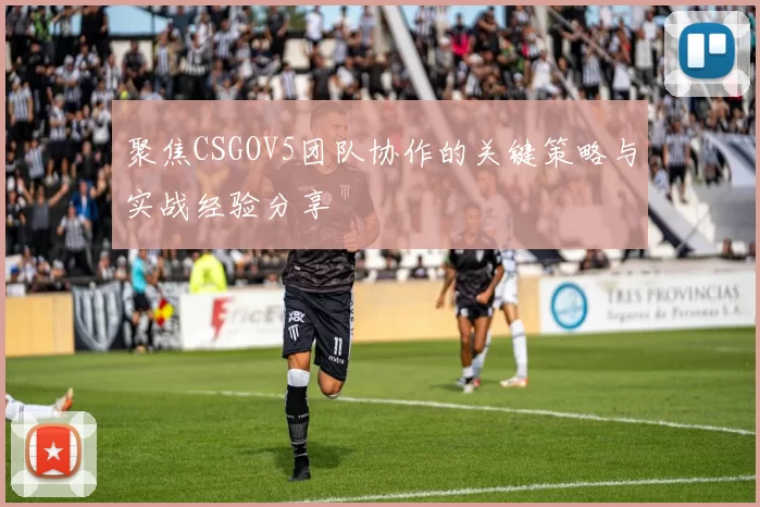 聚焦CSGOV5团队协作的关键策略与实战经验分享