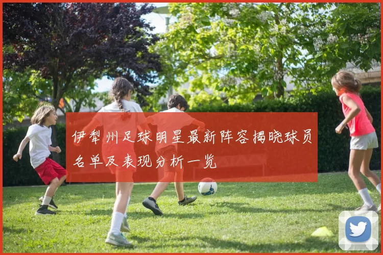 伊犁州足球明星最新阵容揭晓球员名单及表现分析一览