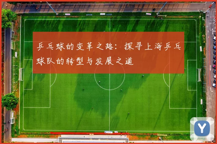 乒乓球的变革之路：探寻上海乒乓球队的转型与发展之道
