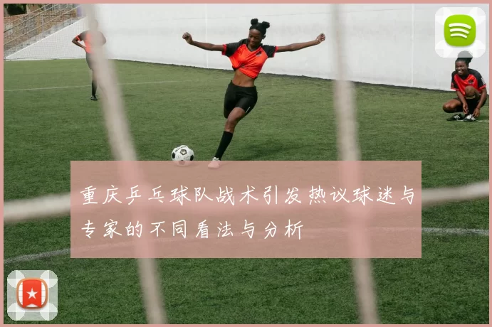 重庆乒乓球队战术引发热议球迷与专家的不同看法与分析