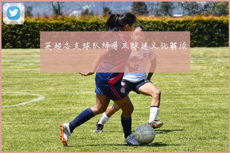 英超各支球队绰号及球迷文化解读