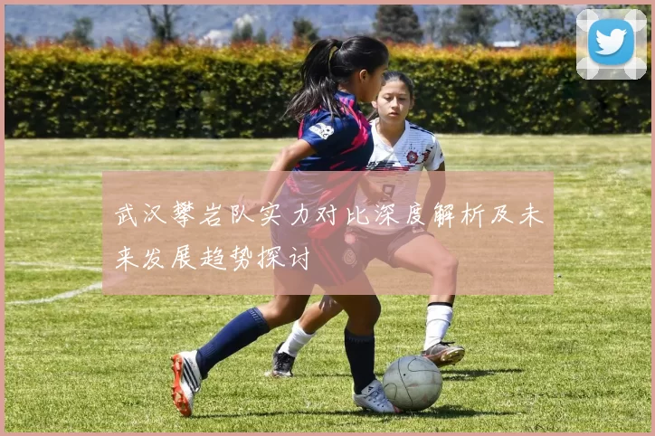武汉攀岩队实力对比深度解析及未来发展趋势探讨