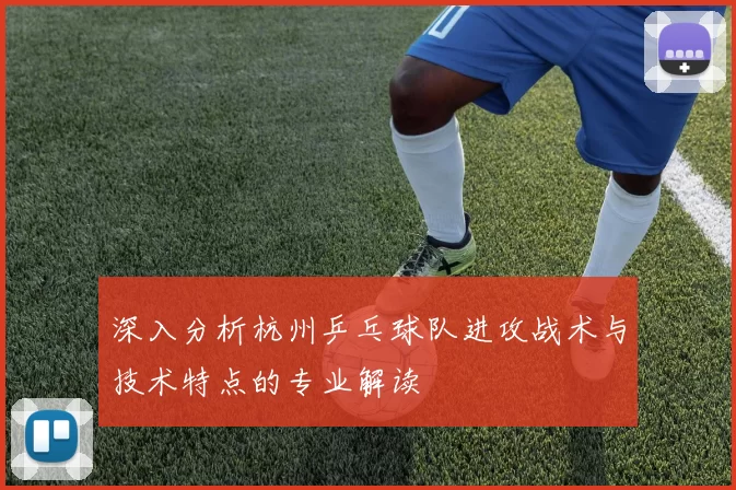 深入分析杭州乒乓球队进攻战术与技术特点的专业解读
