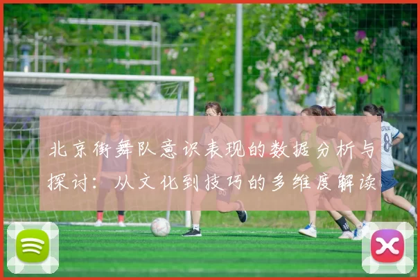 北京街舞队意识表现的数据分析与探讨：从文化到技巧的多维度解读