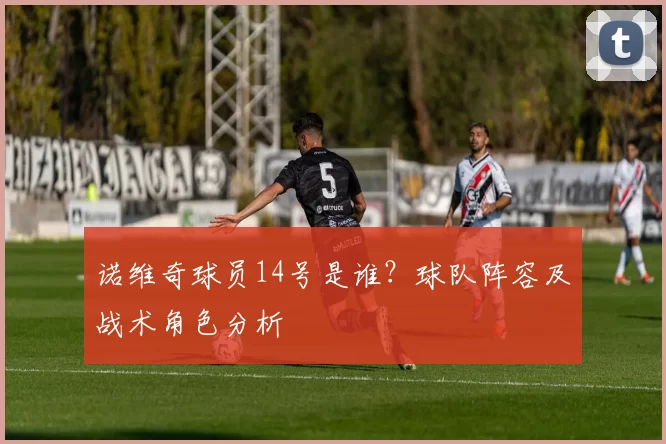 诺维奇球员14号是谁？球队阵容及战术角色分析