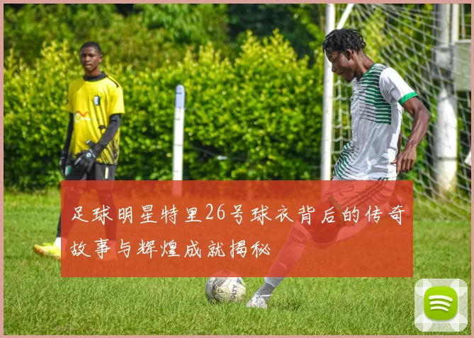 足球明星特里26号球衣背后的传奇故事与辉煌成就揭秘