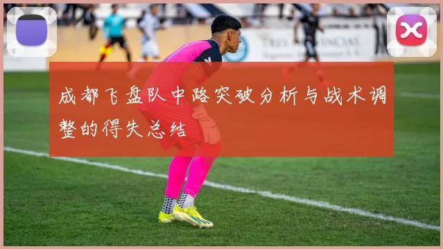 成都飞盘队中路突破分析与战术调整的得失总结