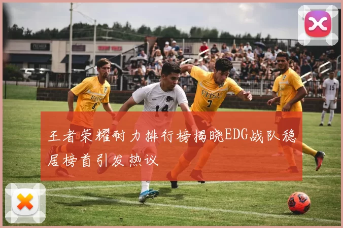 王者荣耀耐力排行榜揭晓EDG战队稳居榜首引发热议