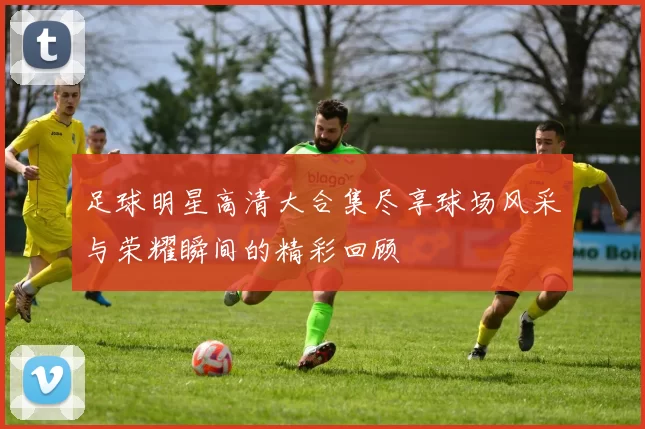 足球明星高清大合集尽享球场风采与荣耀瞬间的精彩回顾